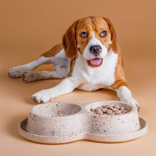 Doppelfressnapf aus nachhaltigem Bambus