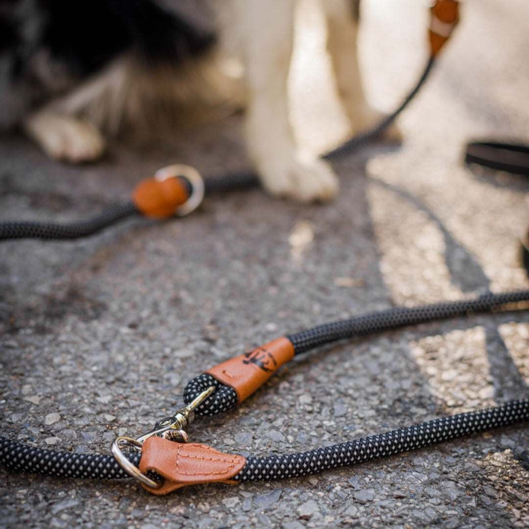Reflektionsleine©, längenverstellbar, veganes Leder