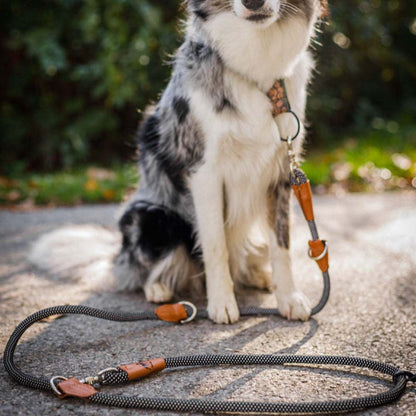 Reflektionsleine©, längenverstellbar, veganes Leder