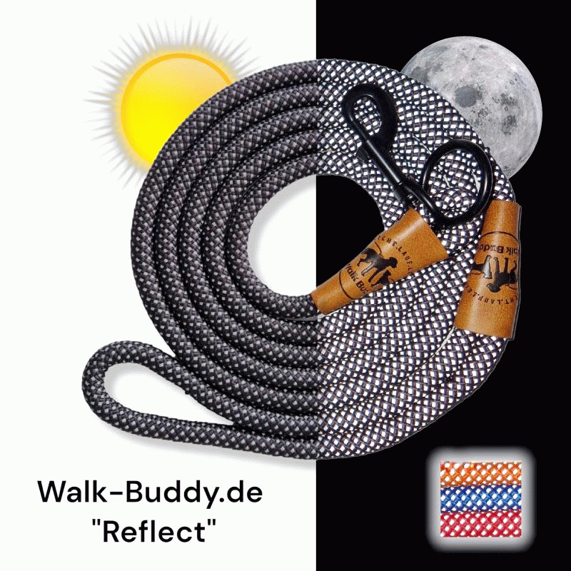 Reflektionsleine© mit Handschlaufe und veganem Leder